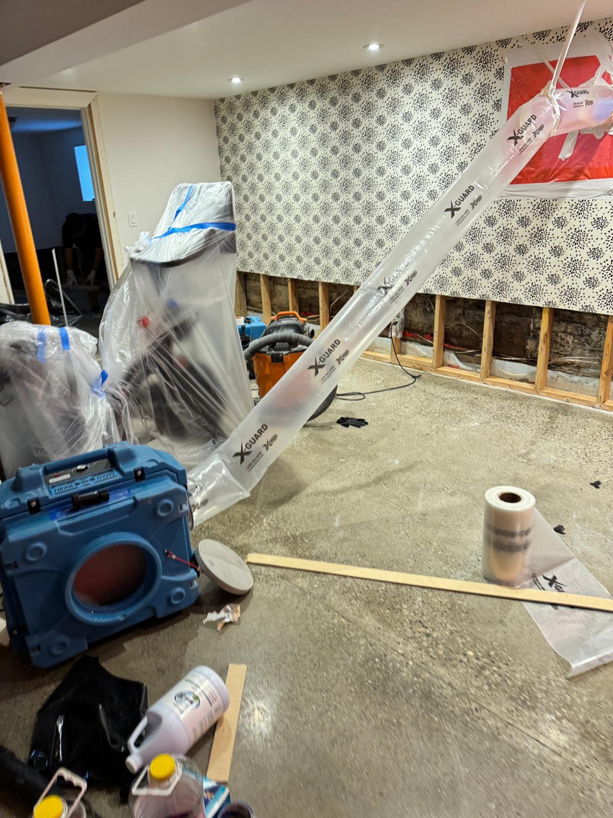 Active mold remediation with containment barriers